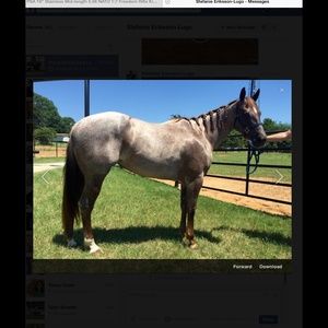 Meet your Posher, Sean